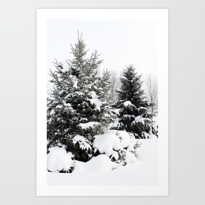 Winter Evergreens Art Print | Society6