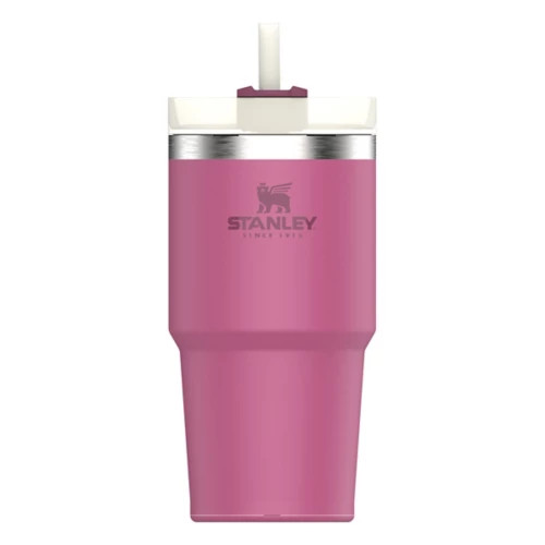 Stanley Adventure Quencher 20oz Travel Tumbler | Scheels