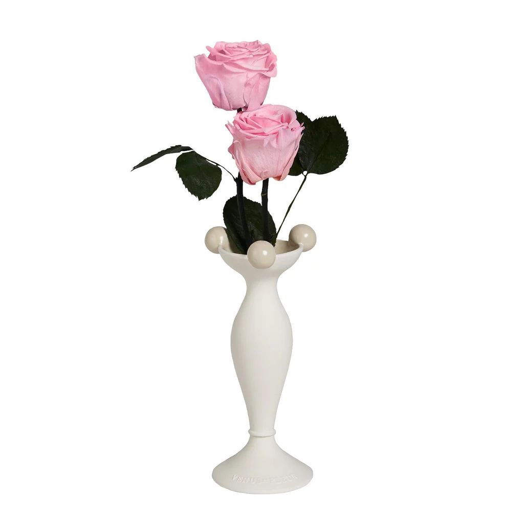 Babiole Porcelain Vase | Venus ET Fleur