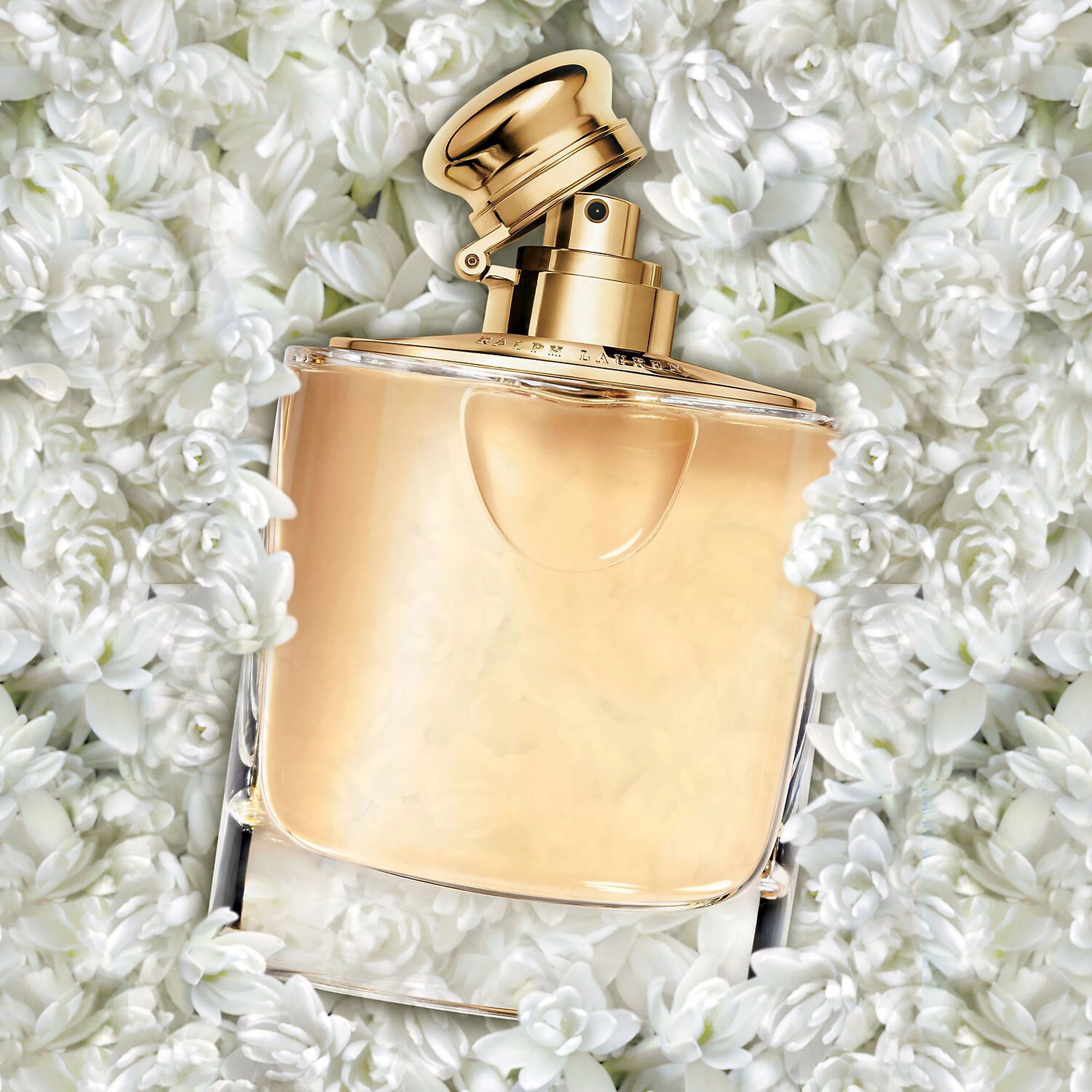 Ralph Lauren Woman Eau de Parfum | Kohls | Kohl's