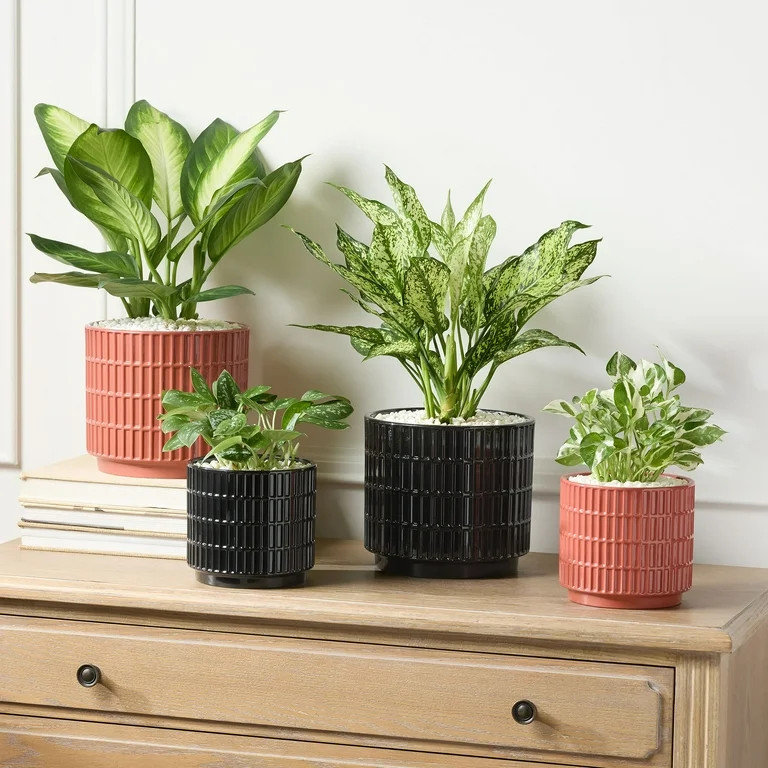 Mainstays 6”D x 5.5”H Round Ceramic Grid Planter, Black | Walmart (US)