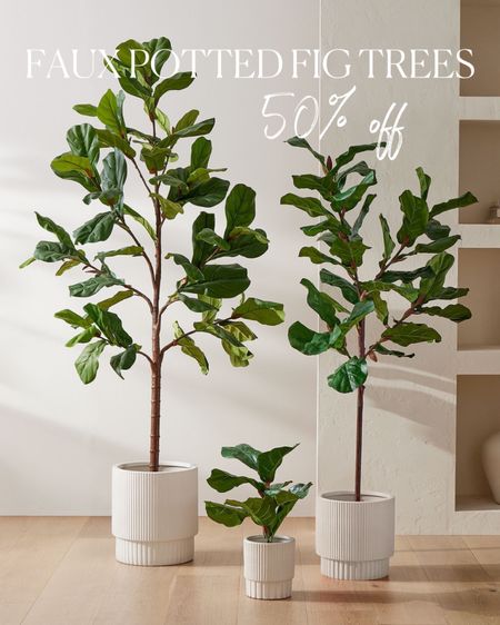 My favorite faux potted fix trees are on clearance in two sizes!
faux tree, potted plant, concrete planter, ribbed planter, fiddle fig tree

#LTKsalealert #LTKFind #LTKhome