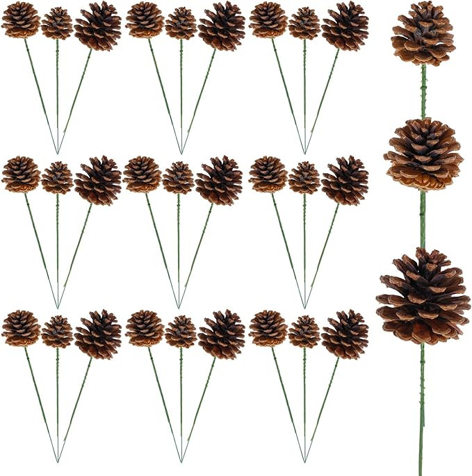 30 Pieces Christmas Natural Pine Cones Rustic Natural Pine Cone for Craft 3 Sizes Pinecones with ... | Amazon (US)