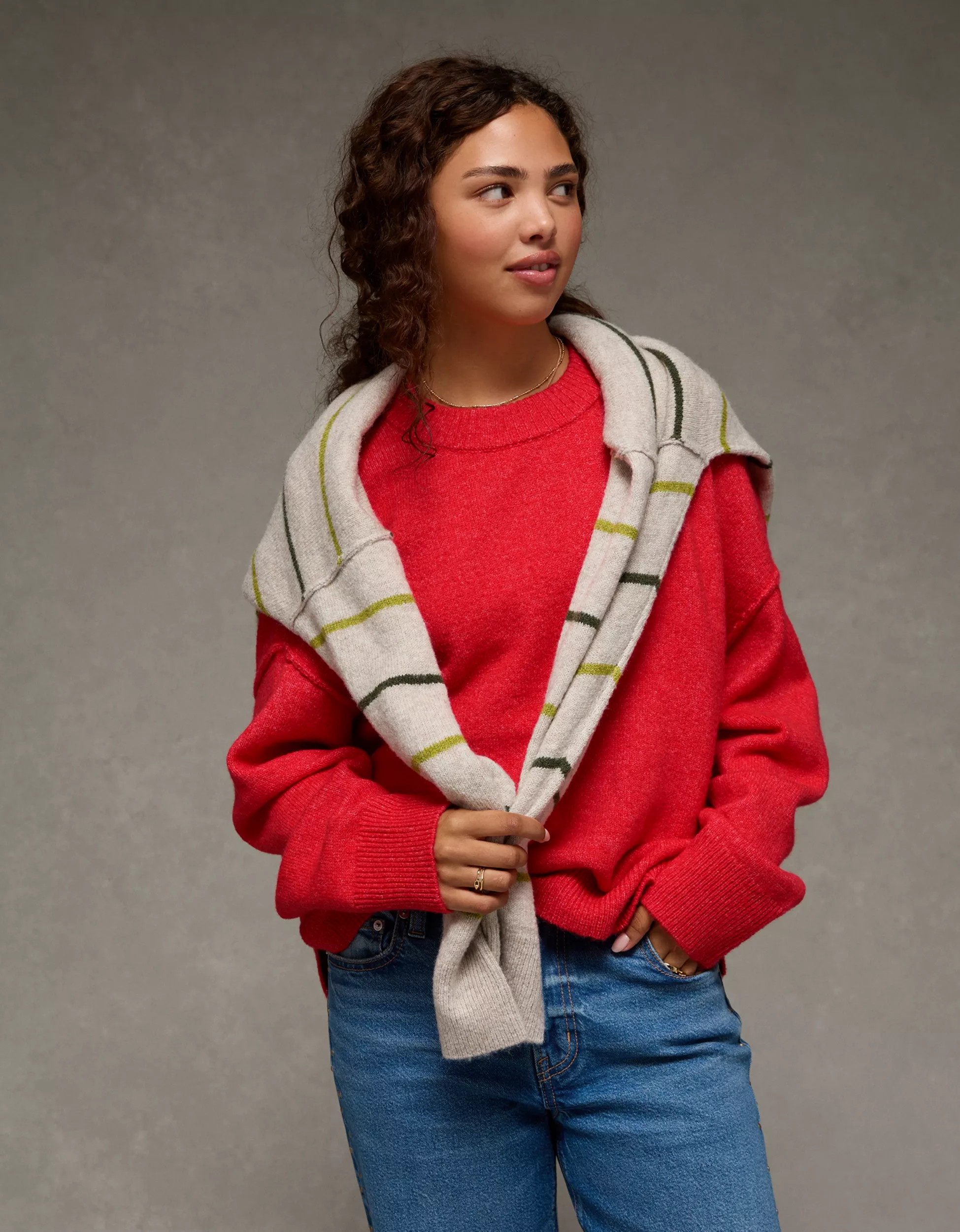 AE Whoa So Soft Classic Crew Neck Sweater | American Eagle Outfitters (US & CA)