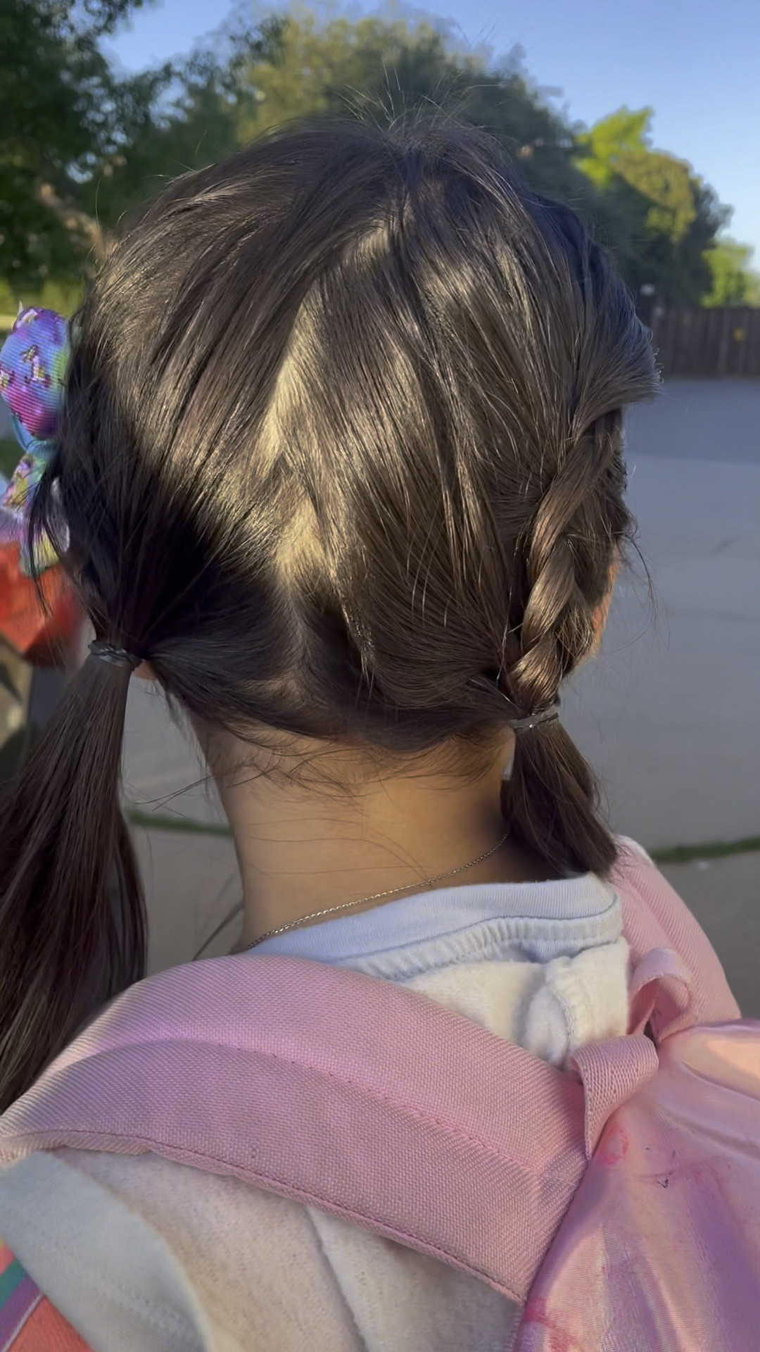 Easy girl hairstyle for school. 5 minute hair style 

#LTKunder50 #LTKFind #LTKstyletip