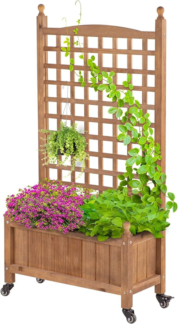 Raised Garden Bed with Trellis, Durable Oil Coated Planter with Trellis, 50 Inches Height Vertica... | Amazon (US)