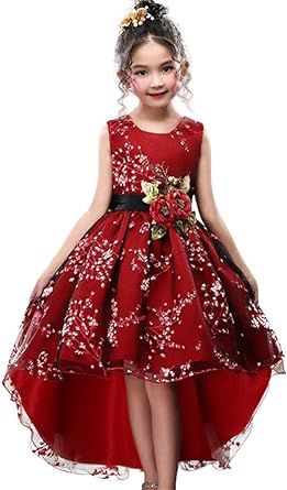 WEONEDREAM Princess Girls Dress for Wedding Birthday Party with Train Size 3-14 Years | Amazon (US)