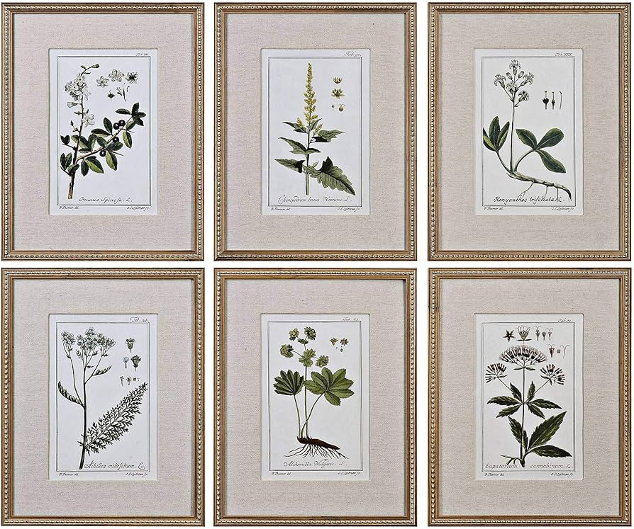 Uttermost Green Floral Botanical Study 6-Piece 22 3/4" H Wall Art Set | Amazon (US)