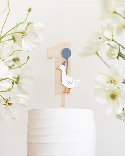 One Silly Goose Cake Topper,Wooden First Birthday Baby Boy Cake Decorations,1st Birthday Party Decorations,Silly Goose Party Decor | Amazon (US)