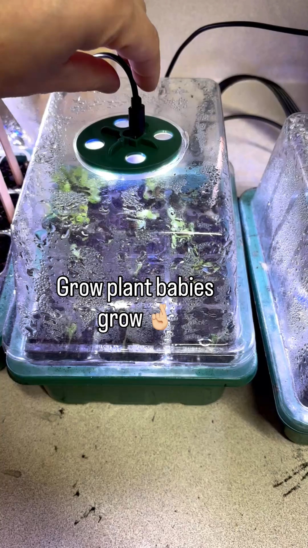 Little sprouts, big dreams. 🌱 Garden season is officially underway at Balanced Friends!

I’m linking some of my favorite non-toxic gardening must-haves for you in this post. What are you planning to grow this year? 🌱

#LTKHome #LTKSeasonal #LTKmomlife