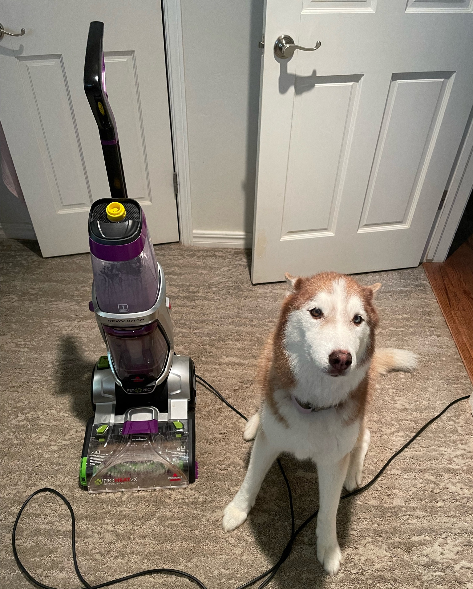 Cleaning, carpet cleaning, spring cleaning, pets, home, household appliance, carpet cleaner solution, wedding gift, birthday gift, black Friday, carpet, cyber week, cyber Monday, target, target finds, Black Friday sale￼

#LTKCyberWeek 

#LTKHoliday #LTKGiftGuide