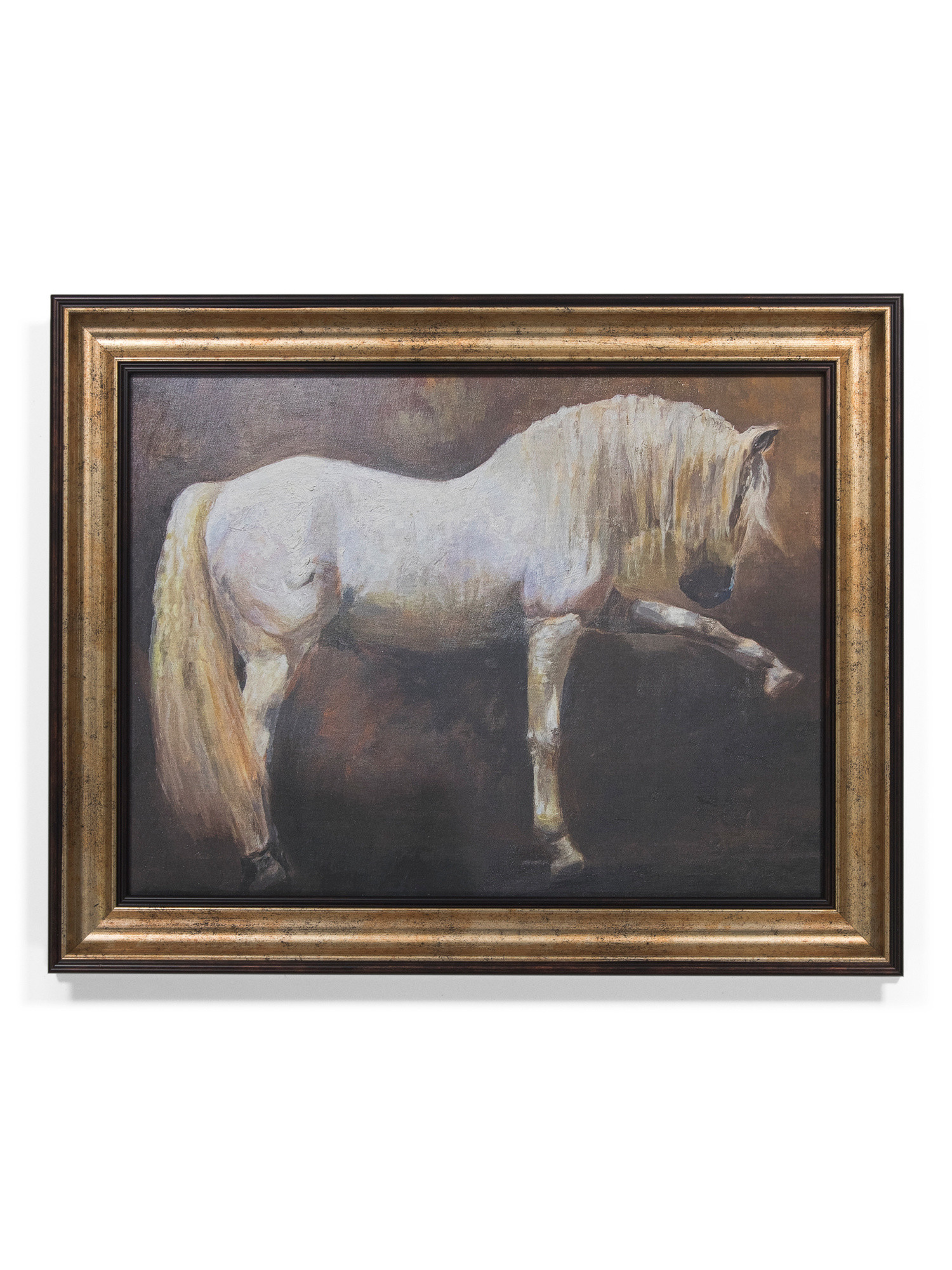 16x20 Grey Horse With Long Mane And Tail Wall Art | TJ Maxx