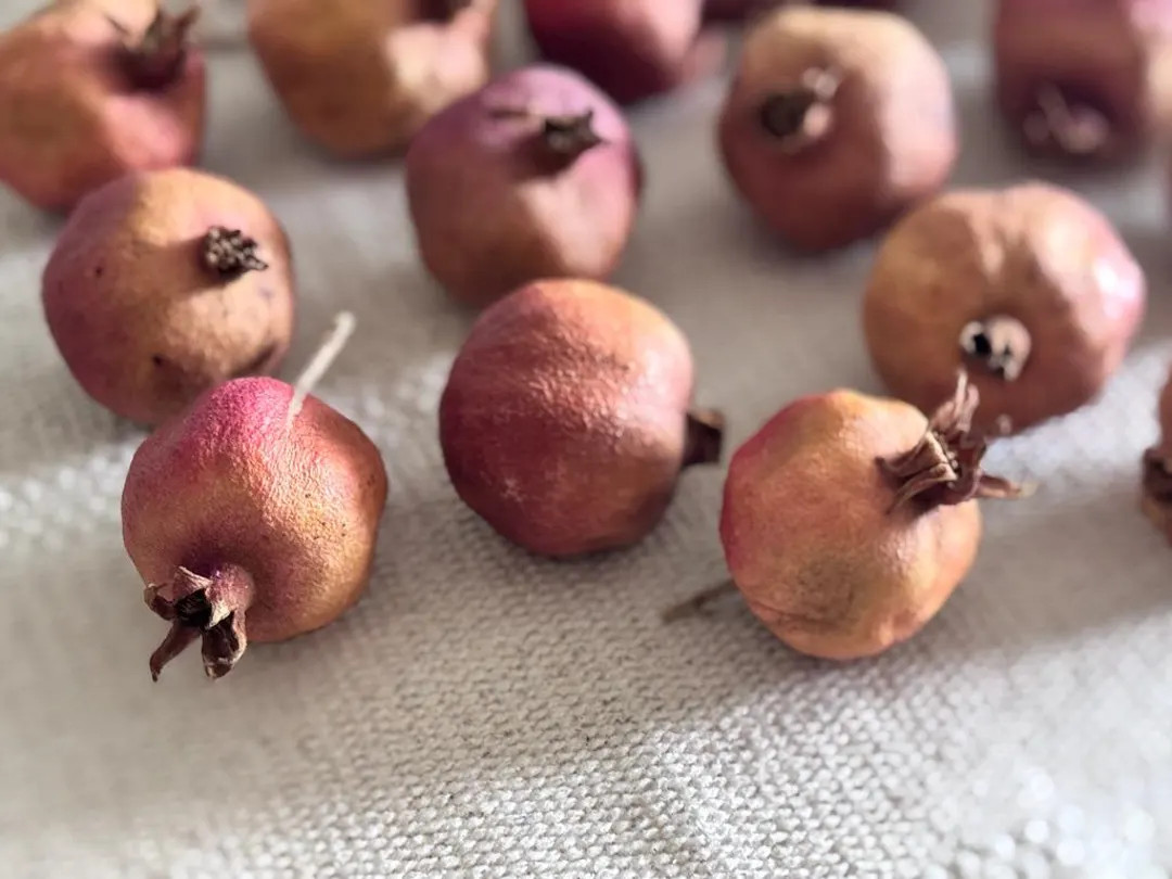 Dry Pomegranates Mini Real Dried Fruits Ethnic Decor Realistic Prop Food Art Vase Decor Botanical... | Etsy (US)