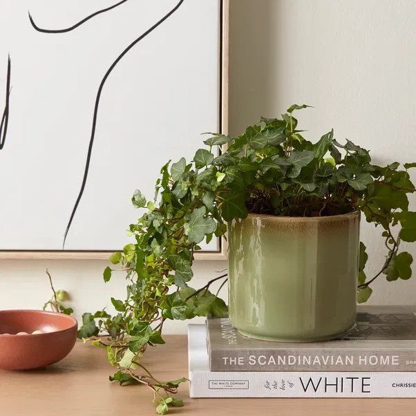 Reactive Glaze Green Ceramic Plant Pot | Dunelm (migrated)