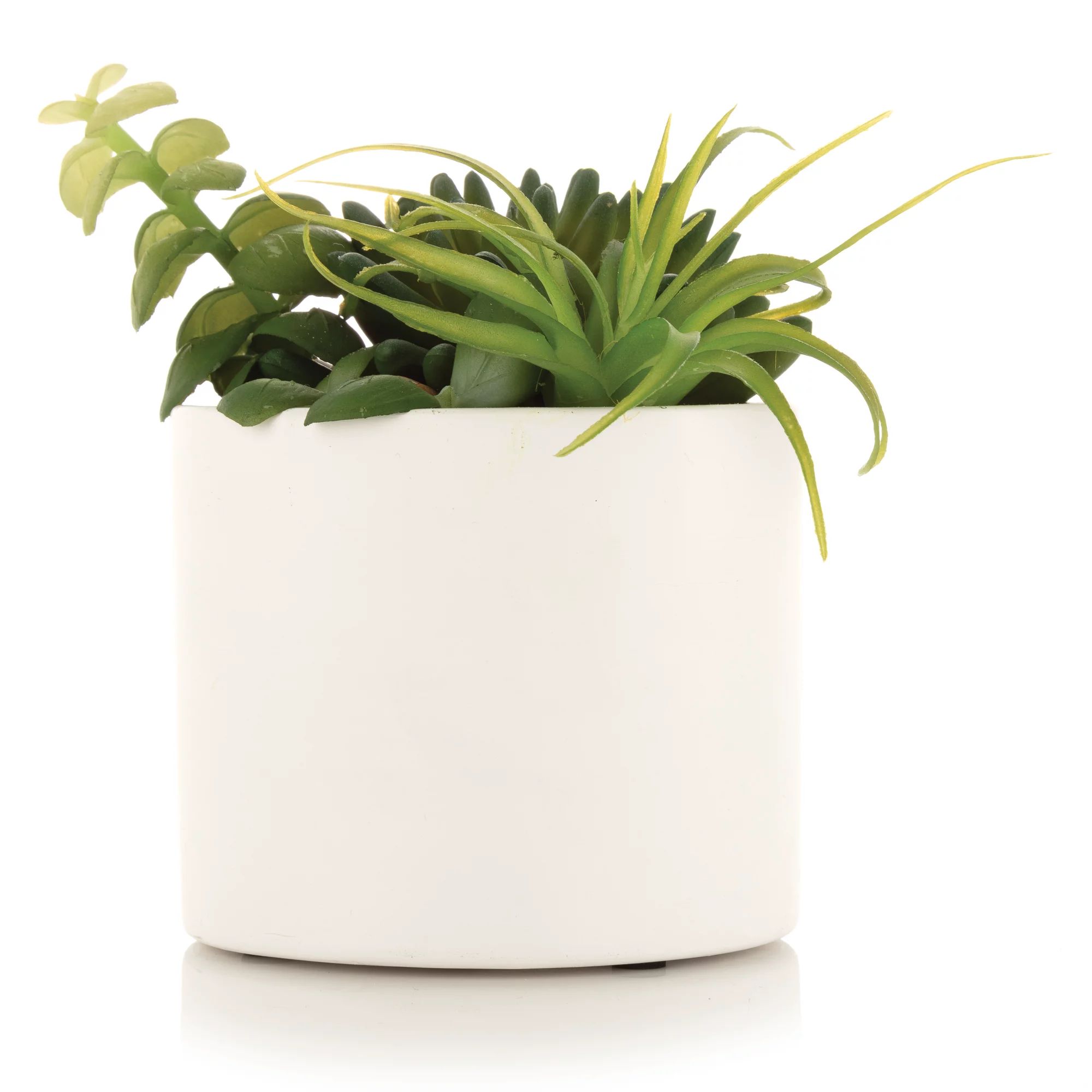 Pinnacle 5" White Succulent | Walmart (US)