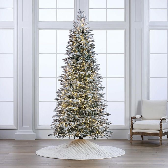 Snowdrift Noble Fir Tree | Frontgate | Frontgate