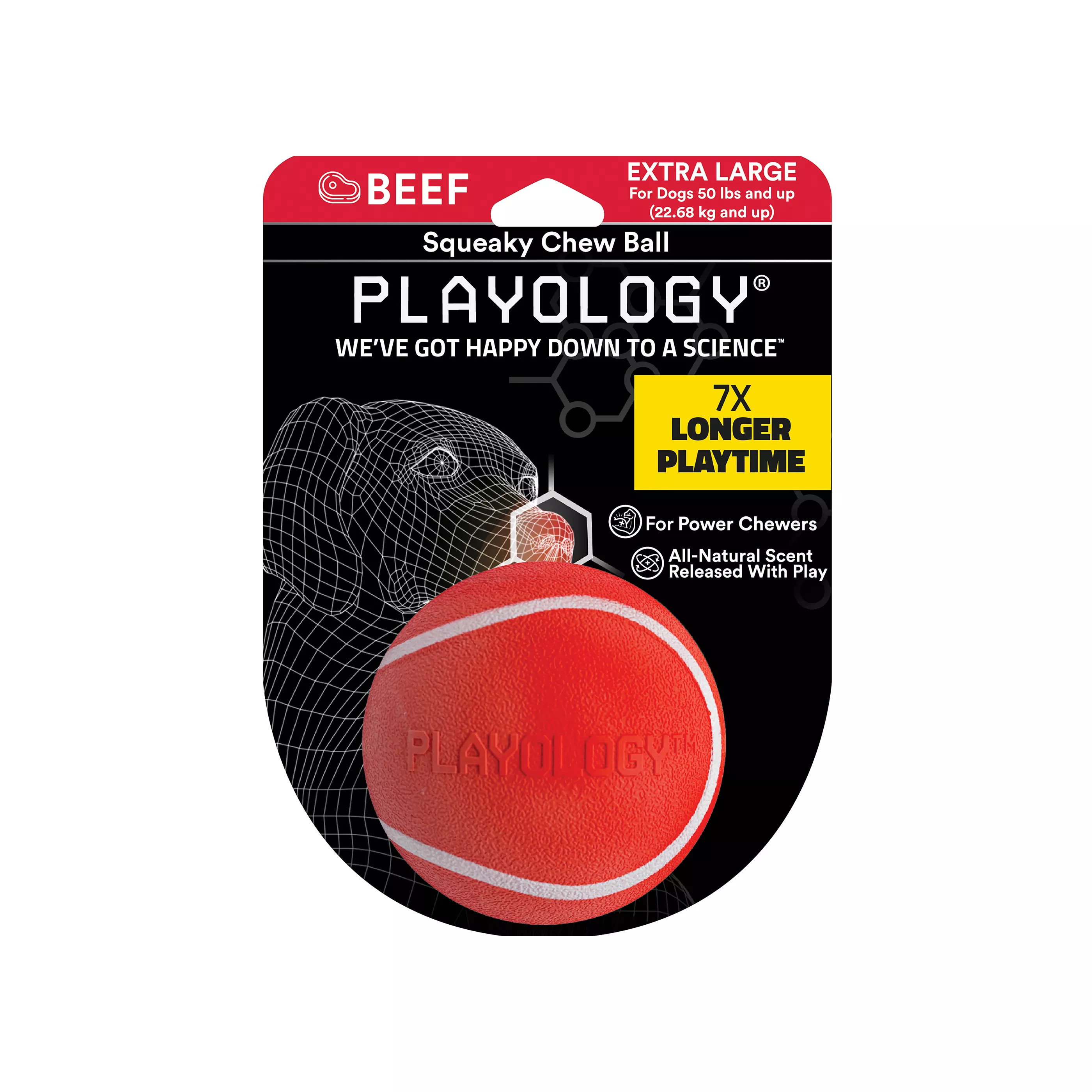 Playology® Squeaky Chew Ball Dog Toy - Beef | PetSmart
