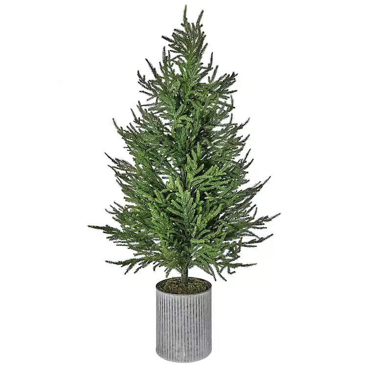 Norfolk Pine Potted Tree, 50 in. | Kirkland's Home