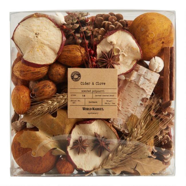 Cider & Clove Potpourri Box | World Market