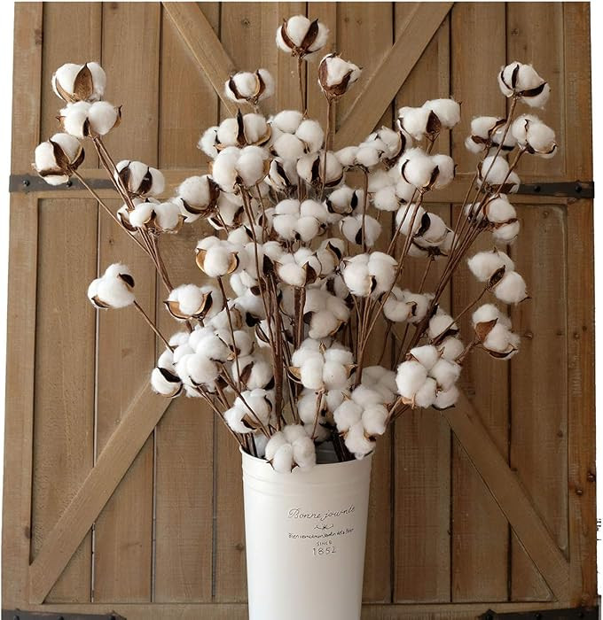 idyllic | Amazon (CA)