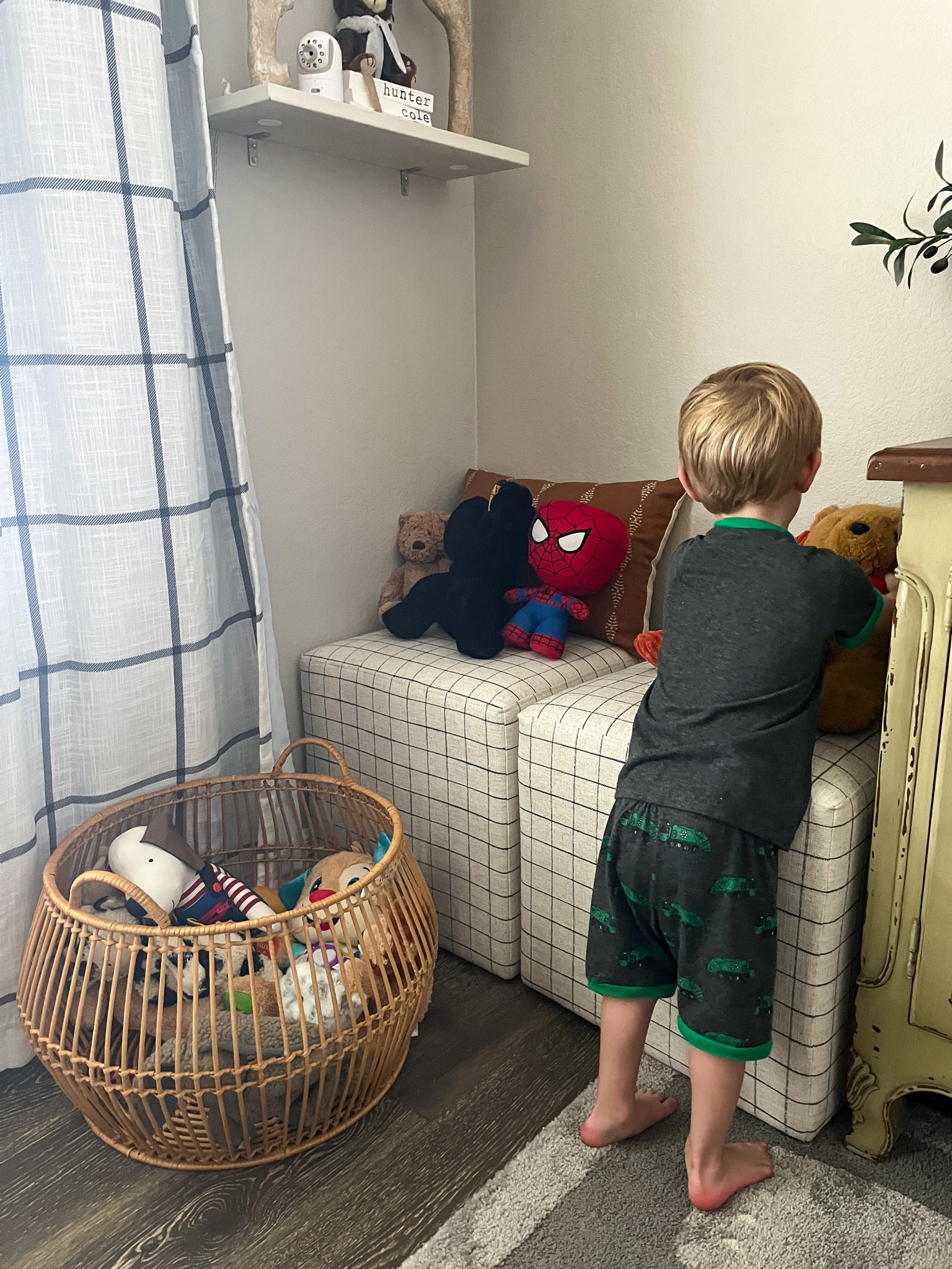 Stuffed animal basket in kids room 

#LTKbaby #LTKkids #LTKhome
