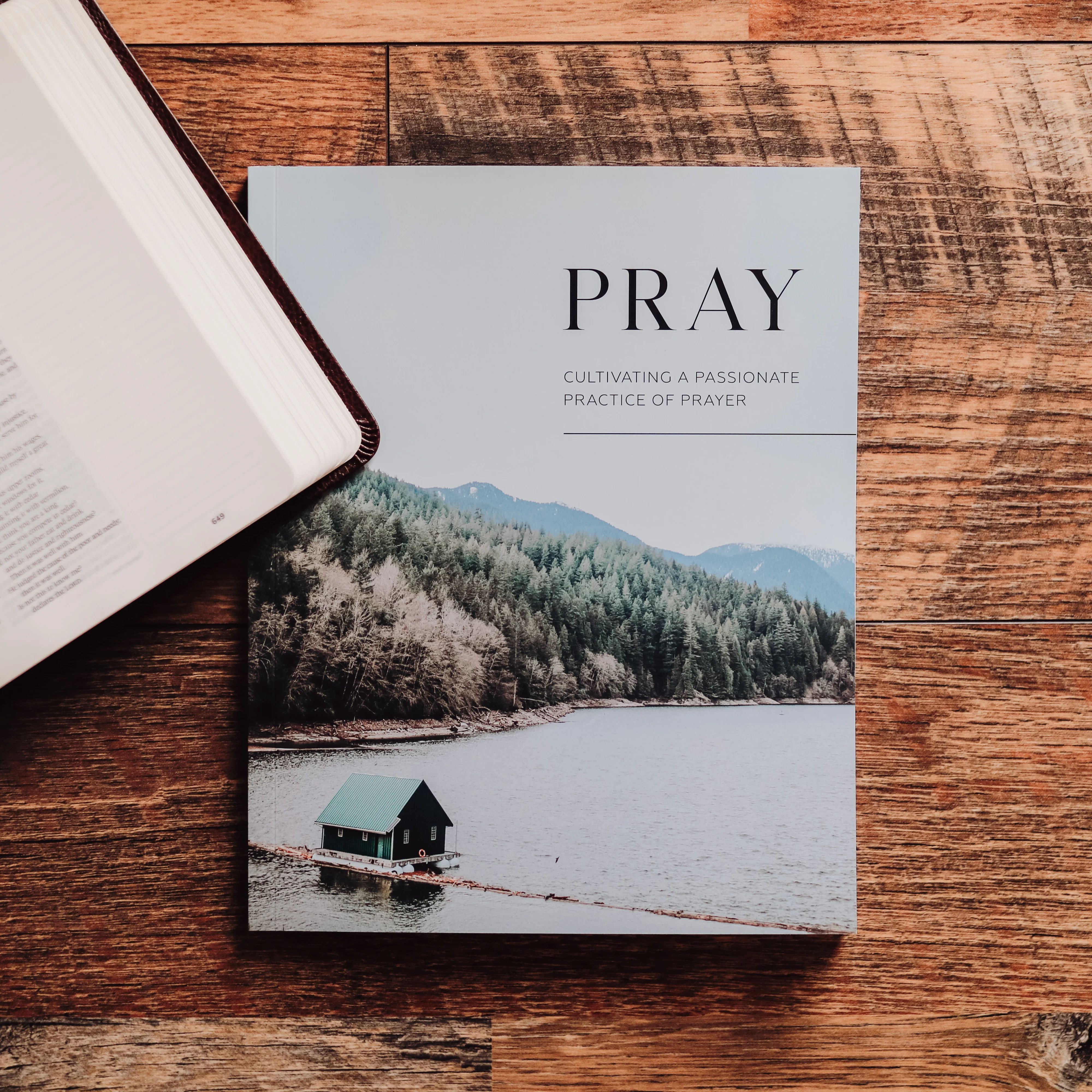 Pray | Cultivating a Passionate Practice of Prayer - Men | The Daily Grace Co.