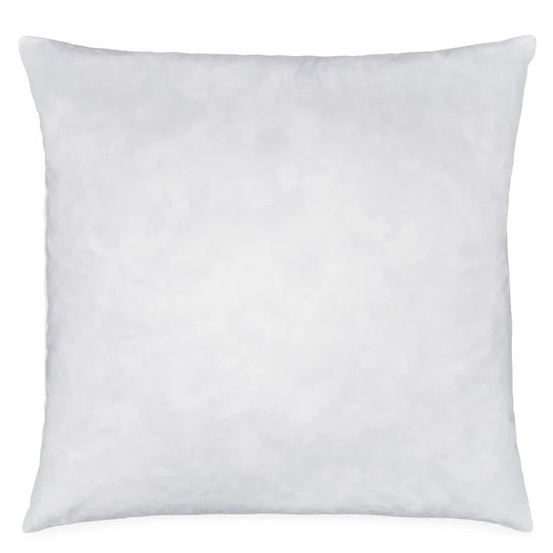 20" H x 20" W x 5" D Down Pillow Insert | Wayfair Professional
