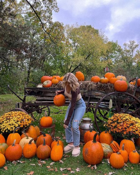 Fall pumpkin patch outfit 

#LTKfindsunder100 #LTKSeasonal #LTKHalloween