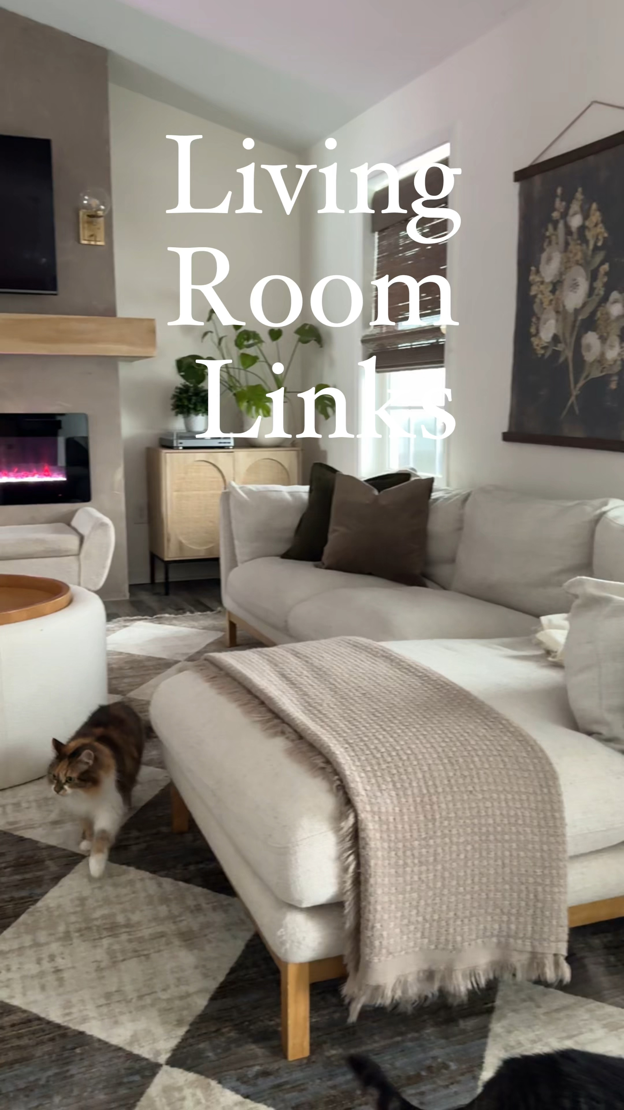 Linking everything I can source in my living room so it’s all in one place , easy to access ❤️

#LTKFamily #LTKFindsUnder100 #LTKHome