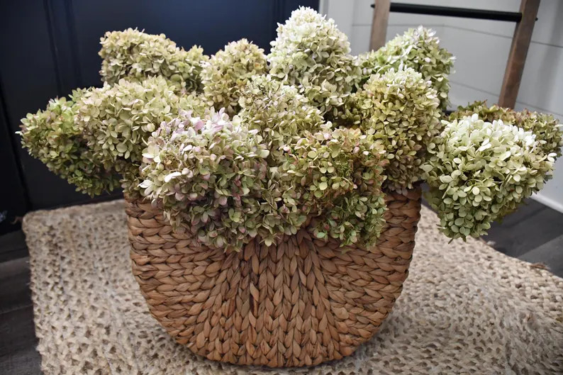Dried hydrangea flowers, farmhouse flowers, hydrangea stems, wedding, dinner party, home decor, f... | Etsy (Global)