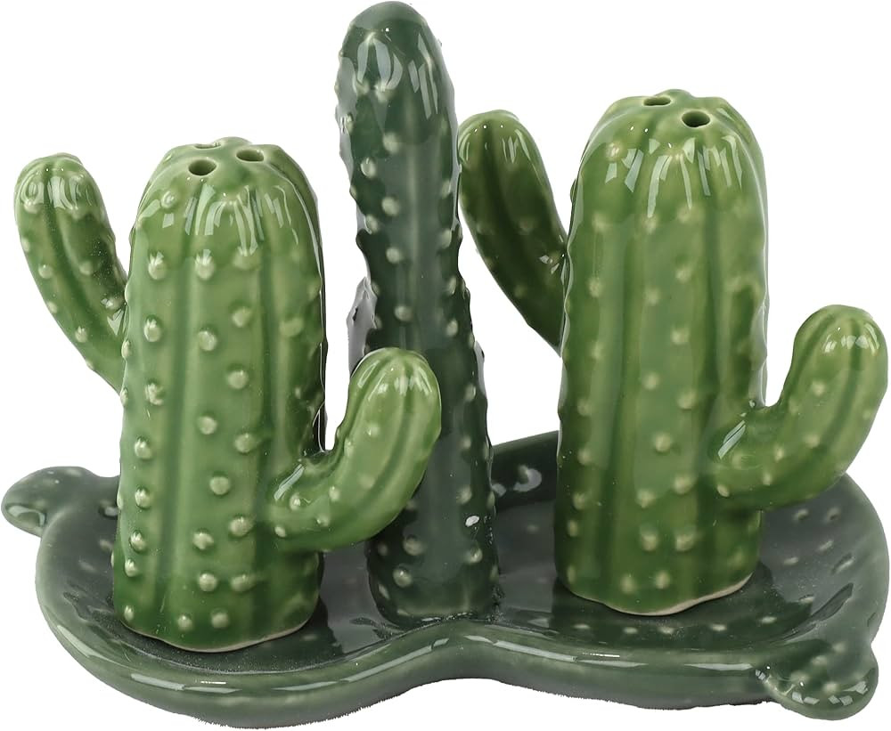 Ceramic Salt & Pepper Shakers Collectors Kitchen Décor with Tray - Cactus | Amazon (US)