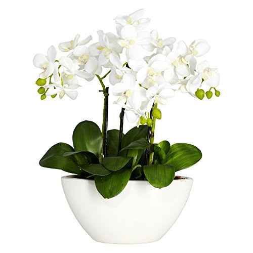 Nearly Natural Phalaenopsis Silk Flower Arrangement | Amazon (US)