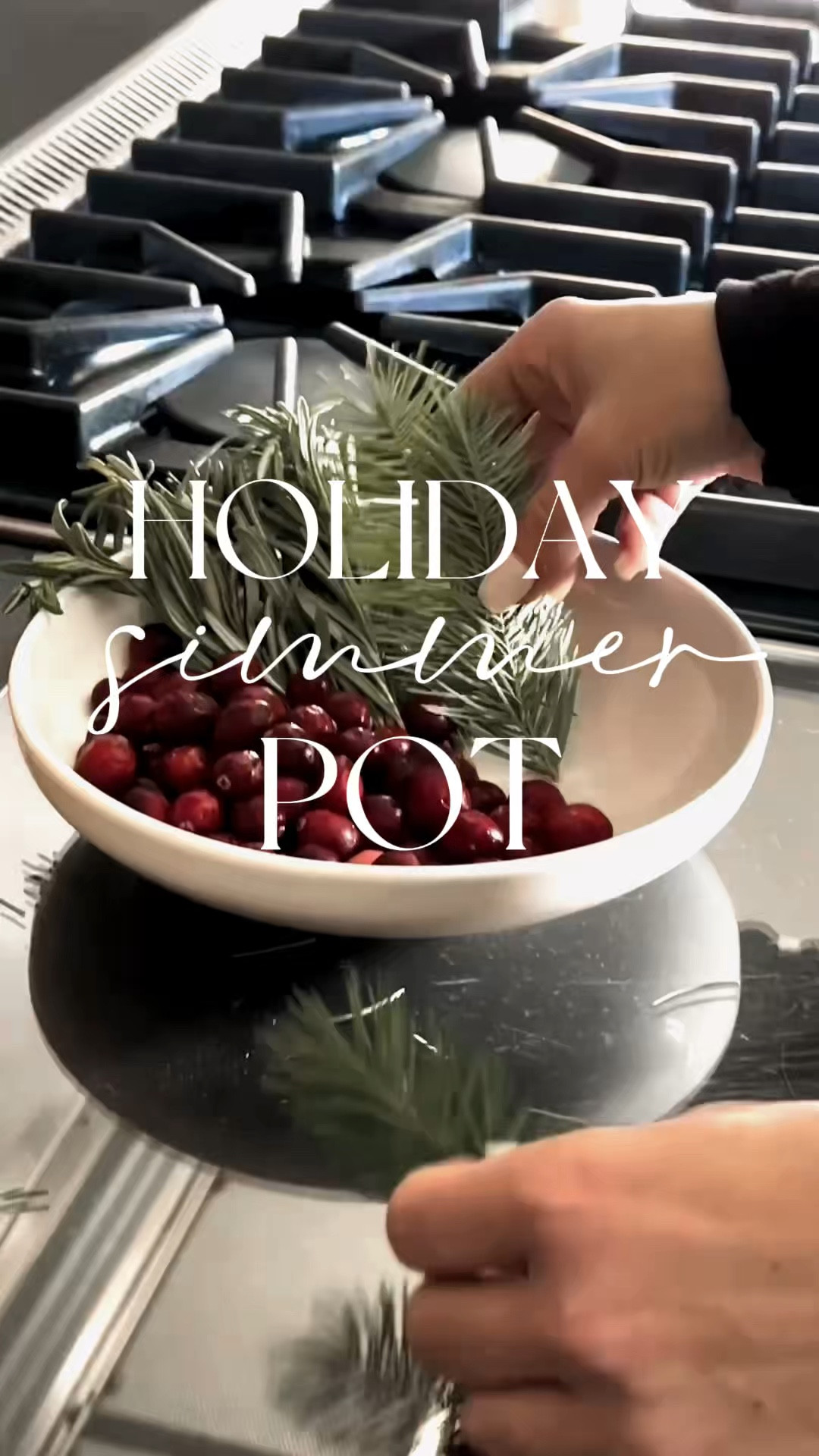 Holiday Simmer Pot to make your home smell like the season of joy and cozy gatherings! 🍊✨ A mix of cranberries, pine, and spices will fill your space with that magical holiday vibe. Perfect for creating a welcoming ambiance or gifting to loved ones. 

#LTKSeasonal #LTKHoliday #LTKWatchNow