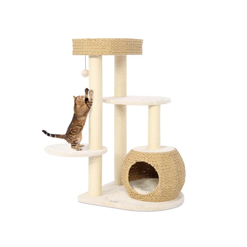 39" Ashawni Cat Tree for Indoor Cats w/Natural Sisal Scratching Posts, Hand-Woven Condo & Top Per... | Wayfair North America