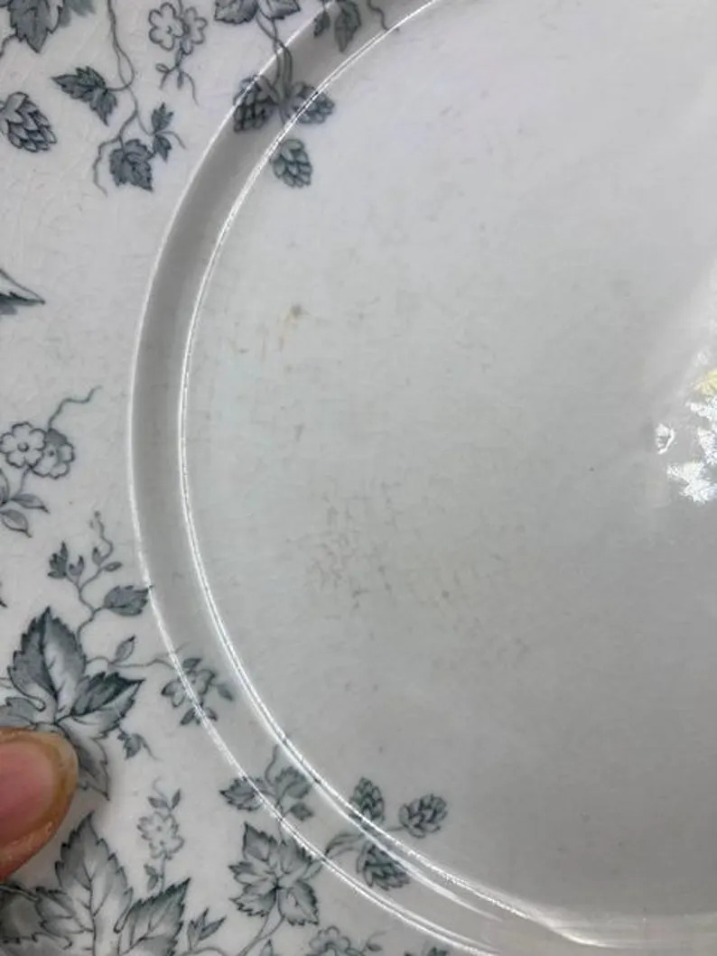 Vintage Transferware Plates Set: Gray Blue Floral Johnson Bros HOP Semi Porcelain | Etsy (Global)
