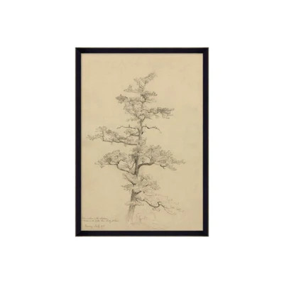 Pine Study | Tuesday Made