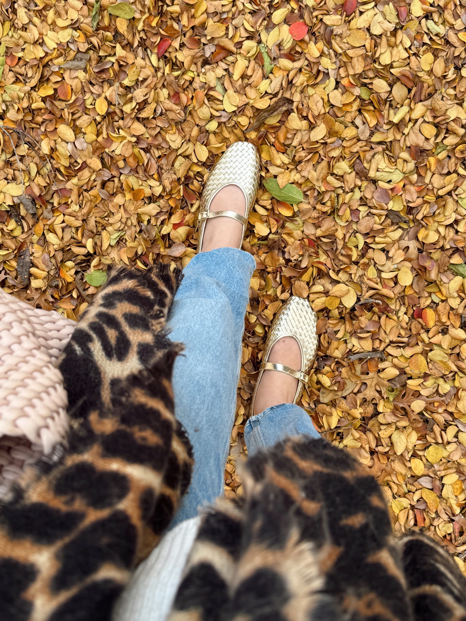 If you’re living in flats like I am, these are a great under $50 option! They don’t offer a lot of support but are comfortable to wear and run TTS. Snag them while all sizes are in stock!

#LTKFindsUnder50 #LTKShoeCrush #LTKSeasonal