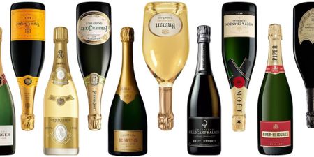 The Best Champagne For All of Your Celebrations (credits: Town & Country Magazine)

#LTKSeasonal #LTKhome #LTKunder100