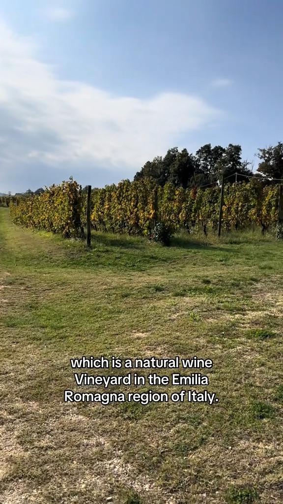 If you’re in Emilia Romagna and you love wine you must visit La stoppa. We did the tour and lunch visit and it was perfection!

#LTKSeasonal #LTKTravel #LTKStyleTip