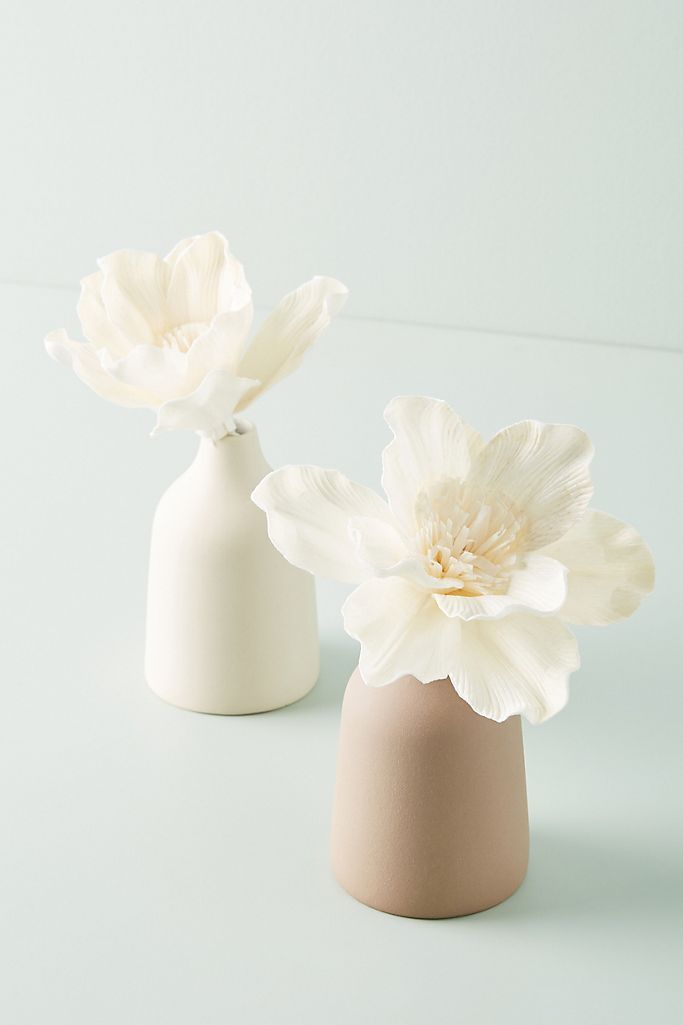 Bloom Fragrance Diffuser Set | Anthropologie (US)