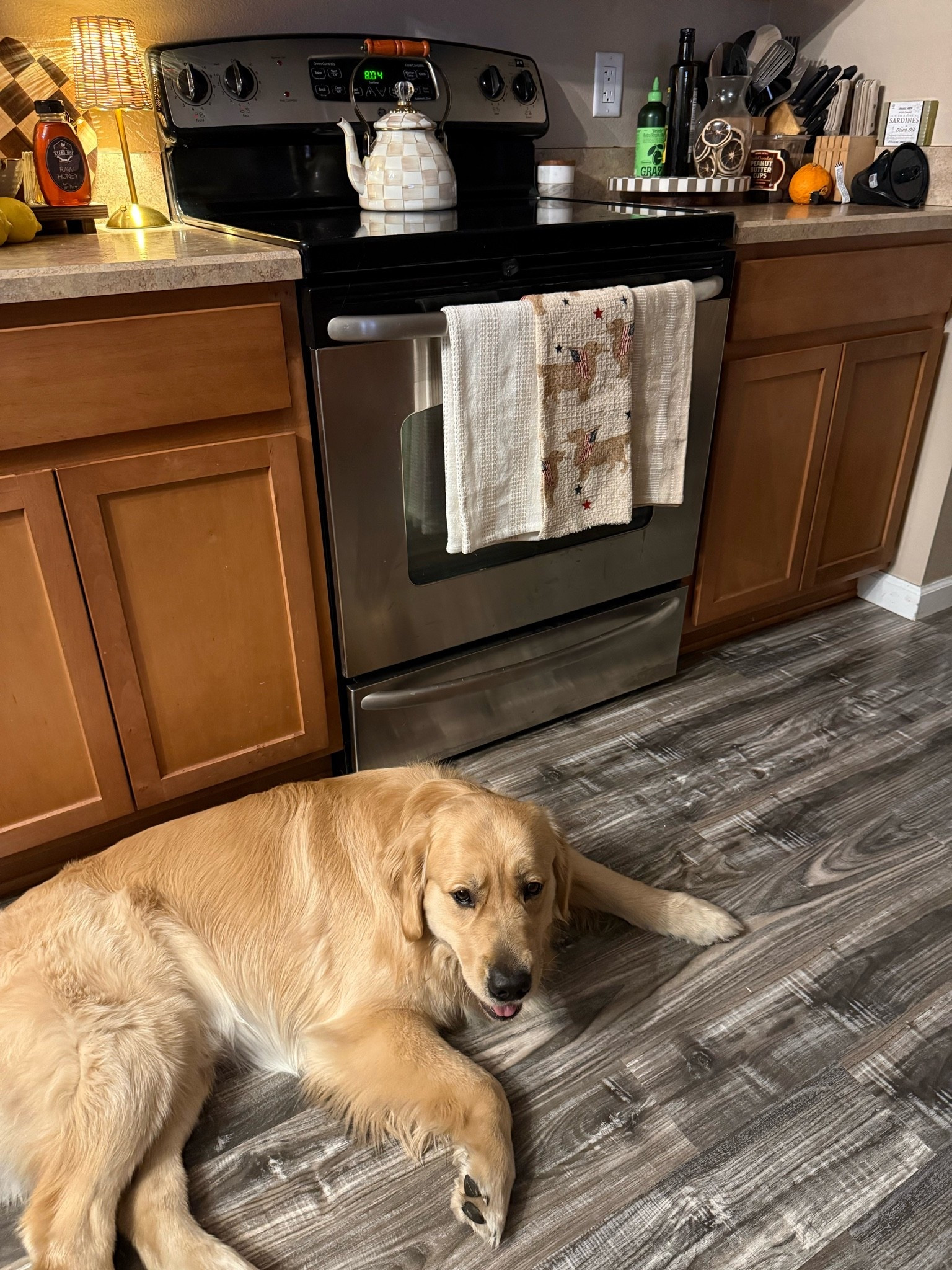 Behind the scenes😆🎬 Cooper’s like “did you get me in the shot mom?” 


#goldenretriever #goldenthings #goldenlife #home #bohohome #bohostyle #homedecor #mackenziechilds #checkered #tjmaxx #homegoods

#LTKdayinmylife #LTKSeasonal #LTKHome