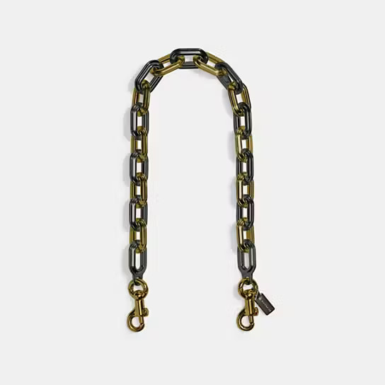 Link Chain Strap | Coach (US)