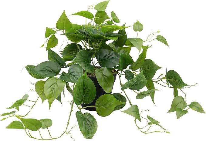 LOYWREE Artificial Plants in Pots, Faux Pothos Indoor Green Realistic Fake Plant for Home Office ... | Amazon (US)