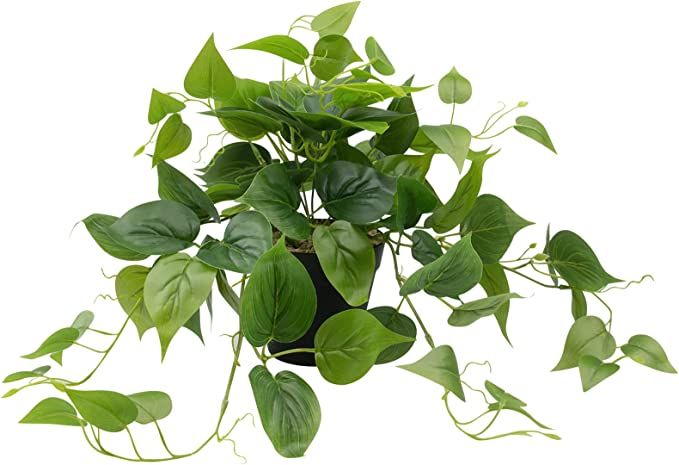 Amazon.com: LOYWREE Artificial Plants in Pots, Faux Pothos Indoor Green Realistic Fake Plant for ... | Amazon (US)