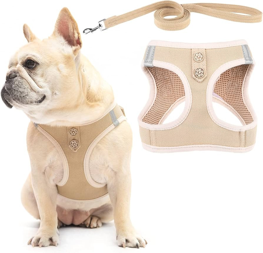 PUPTECK Dog Harness and Leash Set for Small Medium Dogs No Pull Step-in Soft Mesh Puppy Cat Vest ... | Amazon (US)