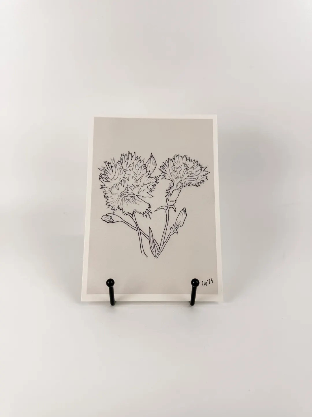 Spray Carnation Flower Art Print, 5x7 Print Of Floral Drawing, Black And White Garden Inspired Wa... | Etsy (Global)