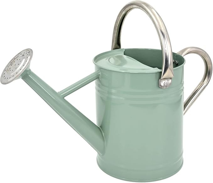 Lechloris Metal Watering Can for Outdoor Plants, Galvanized Steel Watering Can with Removable spo... | Amazon (CA)