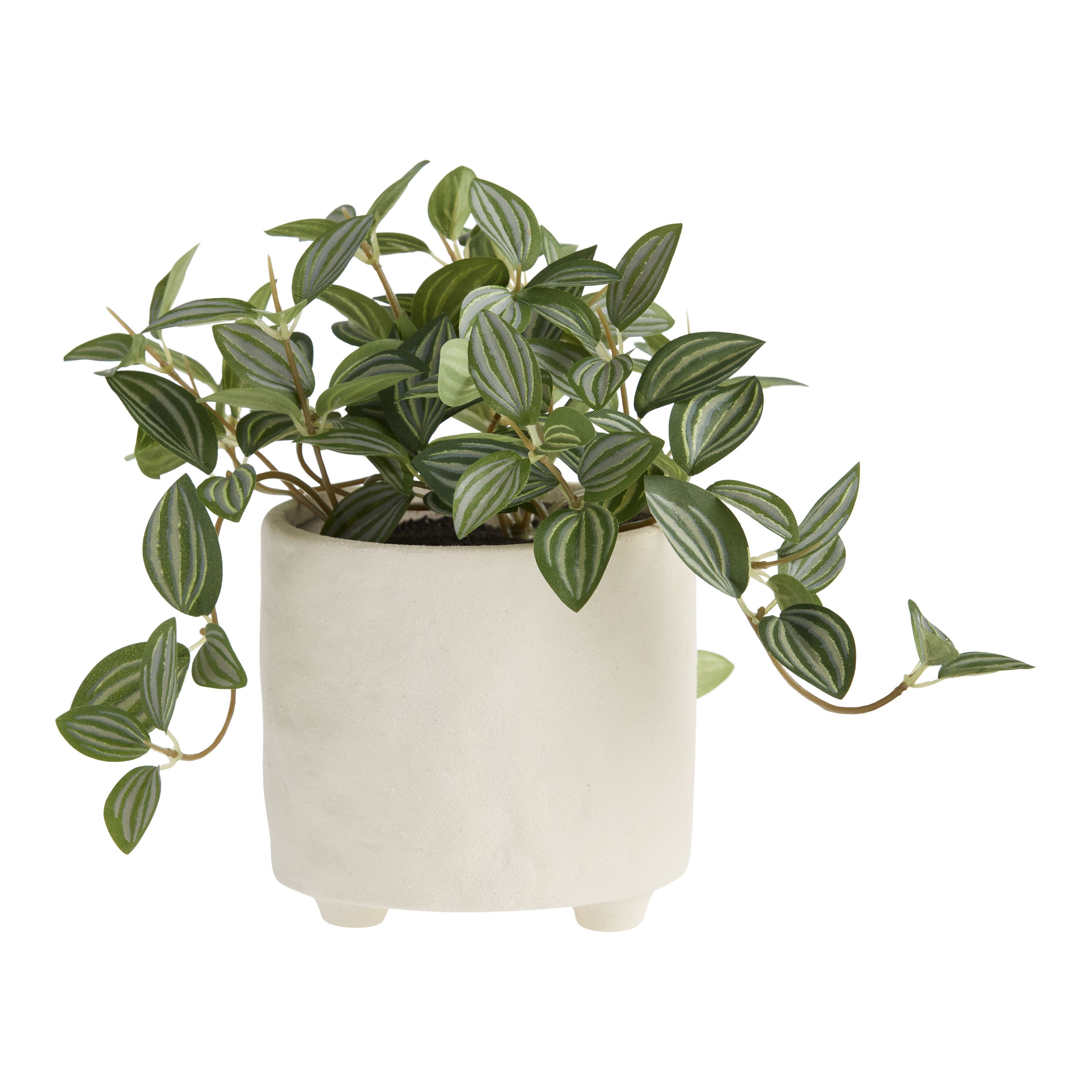 Faux Eyebrow Leaf Plant In White Footed Pot | World Market