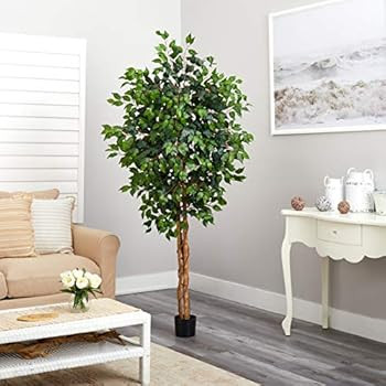 Nearly Natural 6ft. Ficus Artificial Trees, 72in, Green | Amazon (US)
