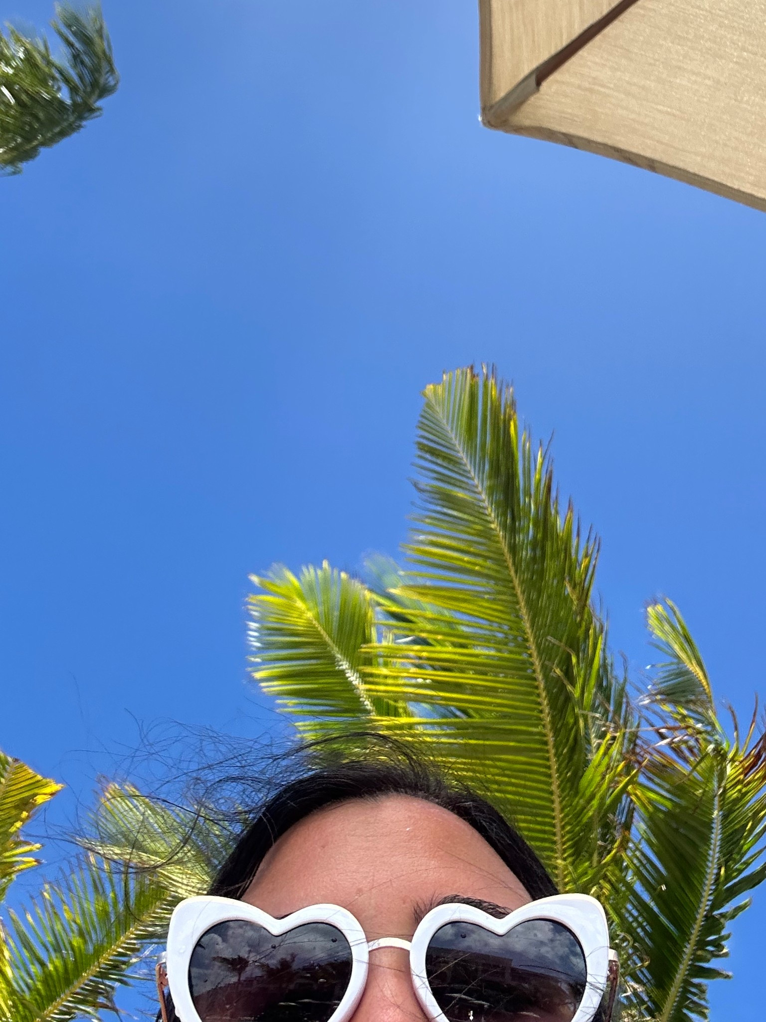 🤍 peek-a-boo 🤍

I wore these for our Valentine’s Day vacation.. but brides — I think you need these glasses for your upcoming bachelorette party and nuptials 🫶🫶

#LTKWedding #LTKTravel #LTKFindsUnder50